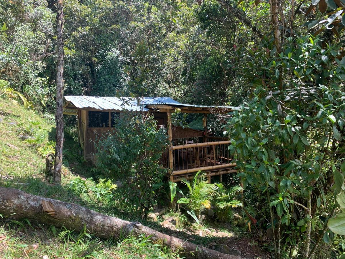 La Casa De Loto Retreat Guatapé Εξωτερικό φωτογραφία